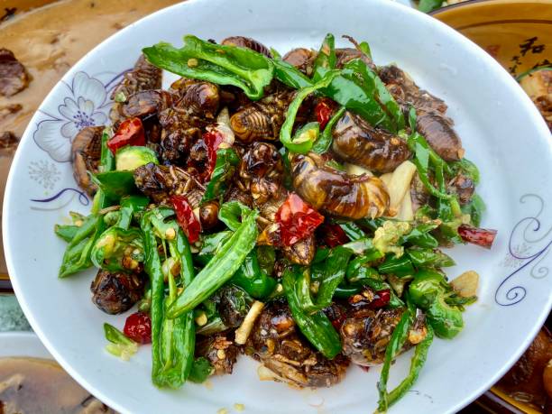 Prato gourmet feito com insetos comestíveis